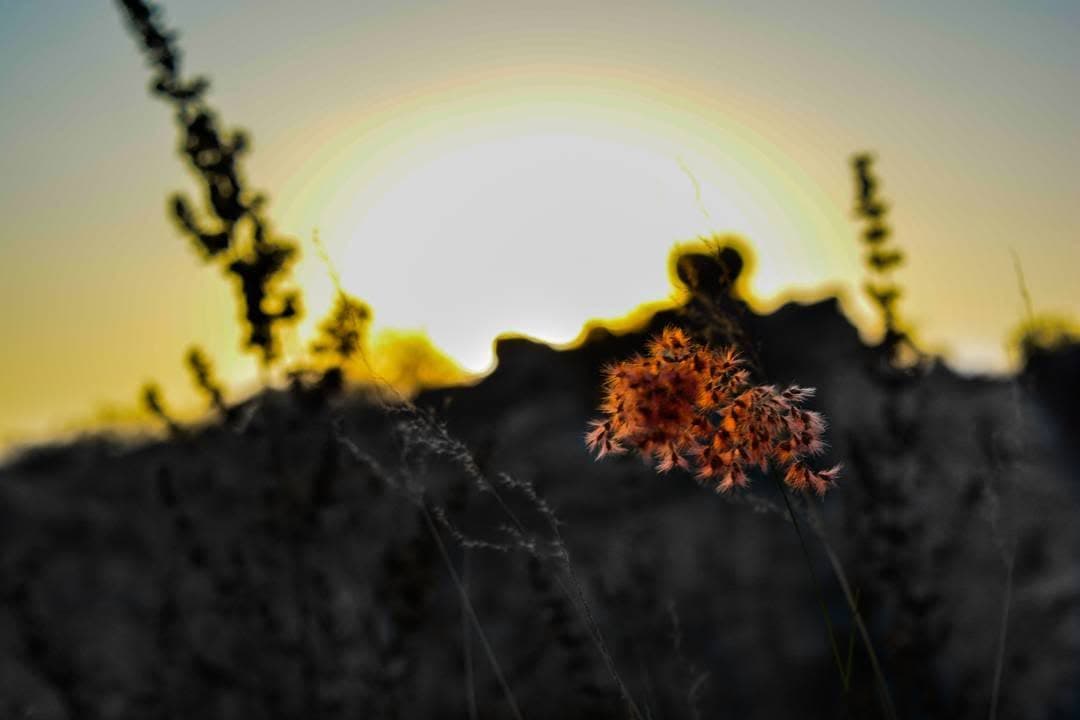 High-key experimental shot