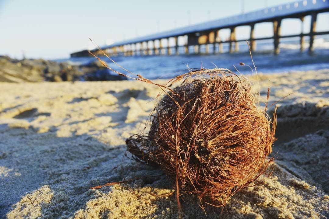 Rock Beach, Pondicherry