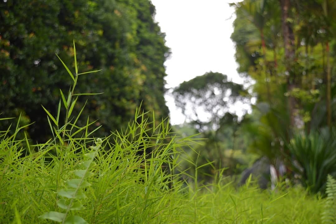 Jurong Bird Park, Singapore