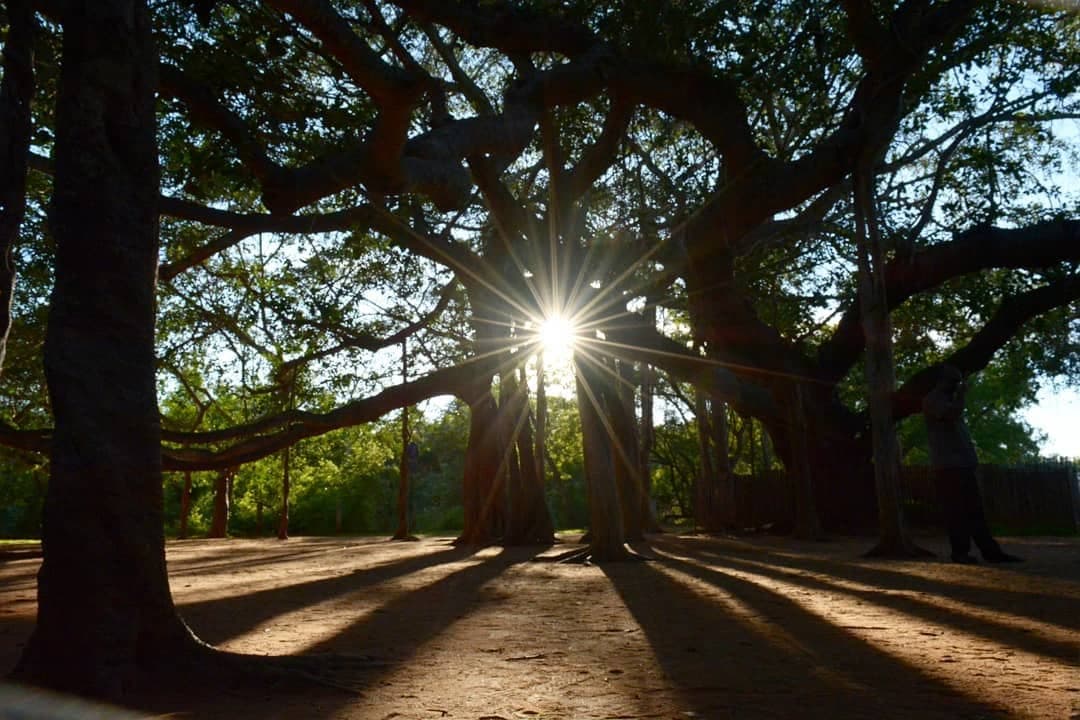 Golden hour portrait